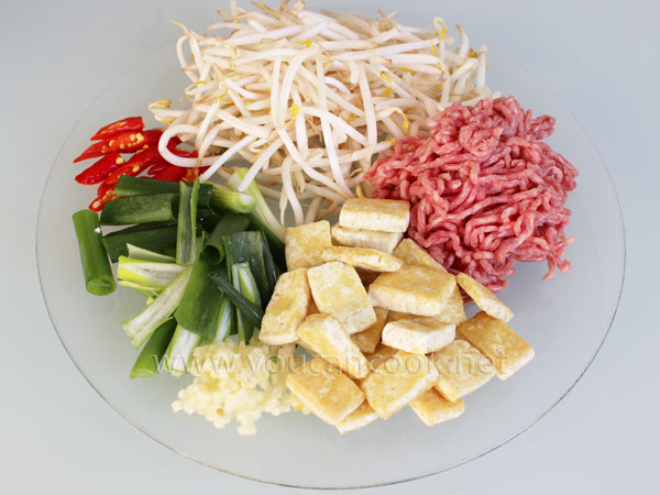 Tofu Rezept - Mit Sojasprossen und Hackfleisch1